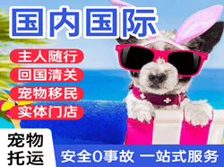 阿鲁科尔沁航空运输国际宠物托运 【国